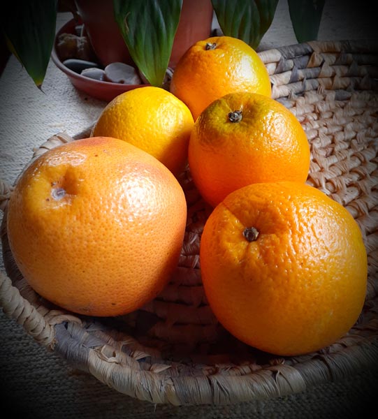 Selección de la fruta Selección de la fruta