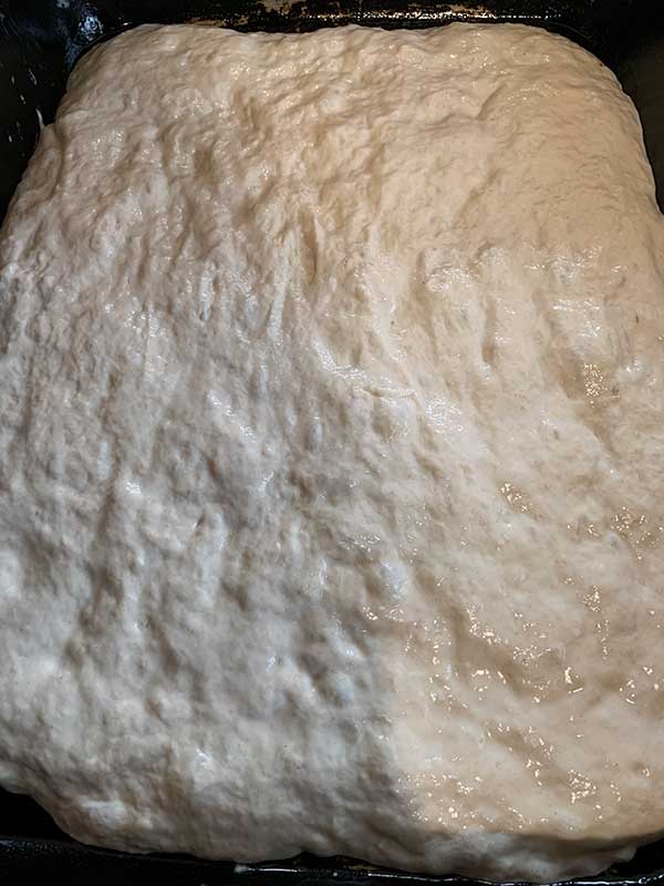 Preparada para condimentar Preparada para condimentar